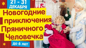 Новогоднее путешествие пряничного человечка