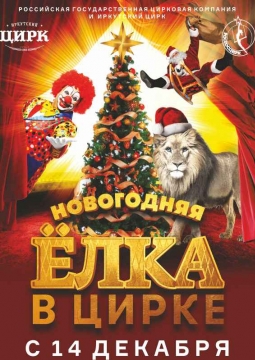 Цирк | Белые львы