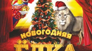 Цирк | Белые львы