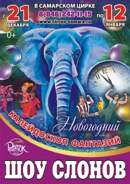 Шоу слонов | Большой Варшавский цирк