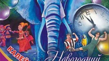 Шоу слонов | Большой Варшавский цирк