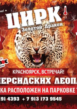 Золотой дракон | Цирк шапито