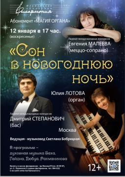 Сон в новогоднюю ночь