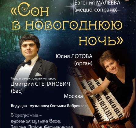 Сон в новогоднюю ночь