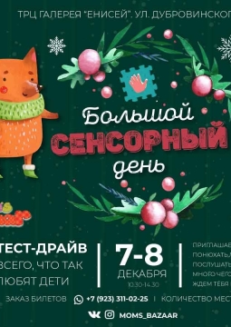 Предновогодний сенсорный день