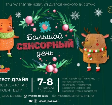 Предновогодний сенсорный день