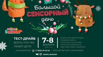 Предновогодний сенсорный день