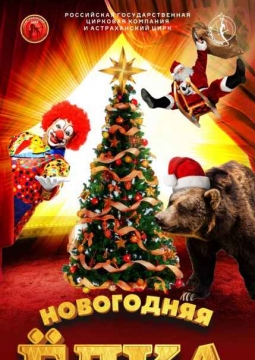 Медведи на буйволах | Цирк