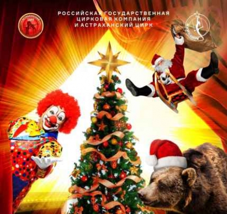 Медведи на буйволах | Цирк