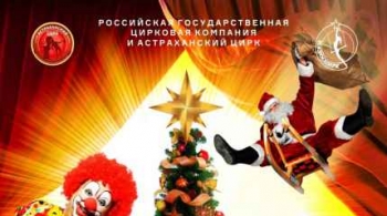 Медведи на буйволах | Цирк