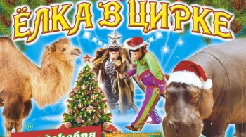 ДЖАМБО | Цирк