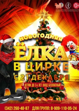 Звезды мирового цирка