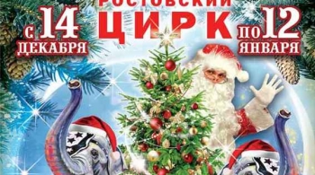 Планета слонов. Международное шоу | Цирк