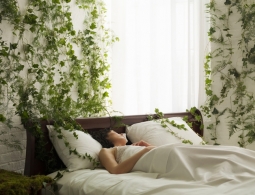 8 полезных советов, как обустроить идеальную спальню