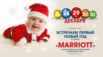 Необыкновенные приключения в волшебном лесу