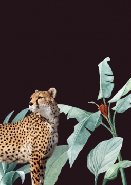 Дикая Африка