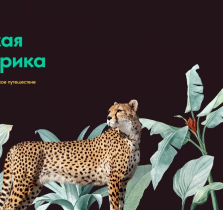 Дикая Африка