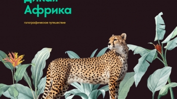 Дикая Африка