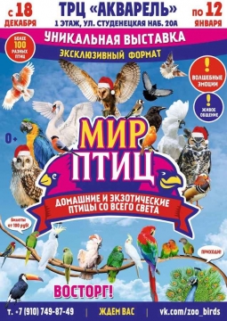 Мир птиц