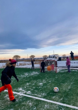 Новогодние каникулы | Космос Касарги