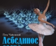 Лебединое озеро | Московский театр классического балета