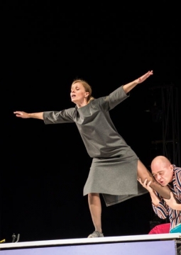 Свободная пара