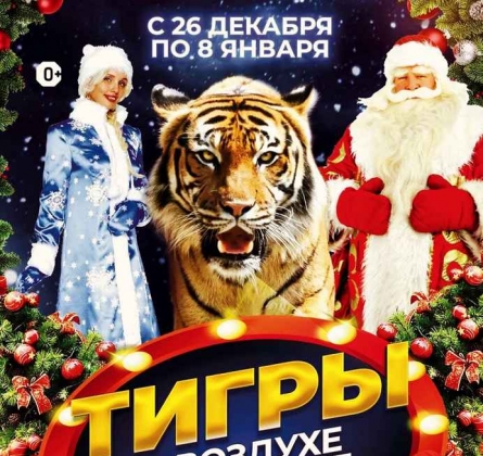 Тигры в воздухе и на земле | Мстислав Запашный
