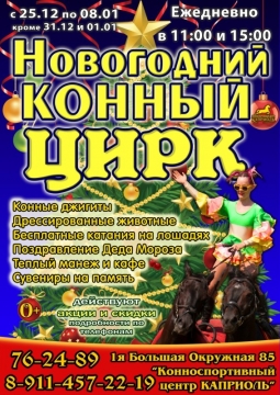Новый год в конном цирке