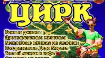 Новый год в конном цирке
