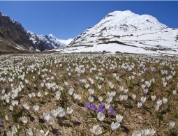 Астрологический прогноз на март 2019 по знакам Зодиака