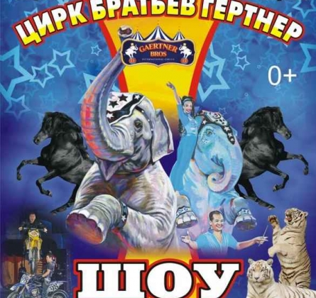 Планета слонов. Международное шоу | ЦИРК