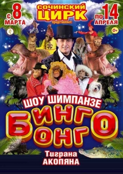 Бинго-Бонго | Цирк