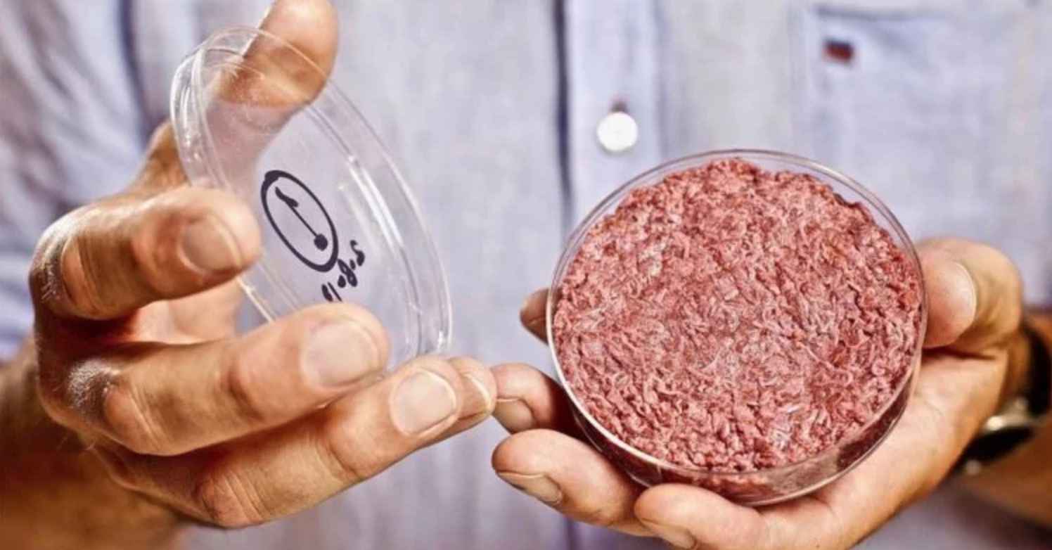 Производство искусственного мяса не принесет пользы окружающей среде