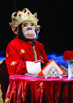 Звезды мирового цирка