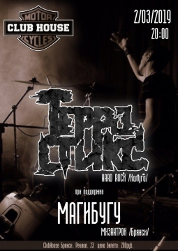 Терра Стикс