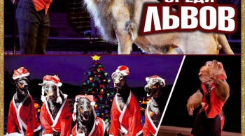 Один среди львов! | Цирк