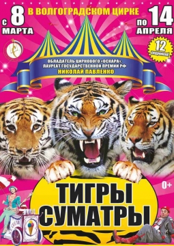 Тайна королевских тигров | Цирк