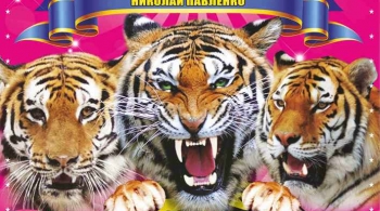 Тайна королевских тигров | Цирк