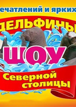 Дельфины Северной Столицы
