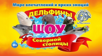 Дельфины Северной Столицы
