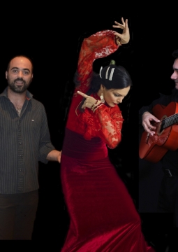 Трио из Андалузии (фламенко)