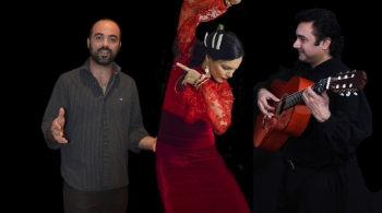 Трио из Андалузии (фламенко)