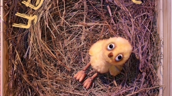 Золотой цыпленок | Красноярский дом актера