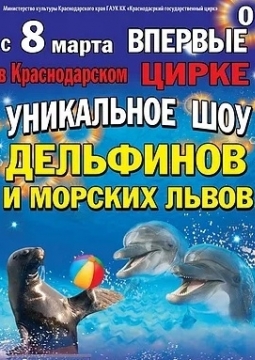 ШОУ дельфинов и морских львов