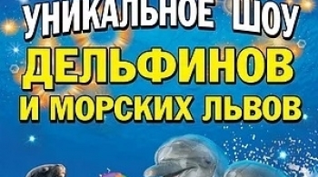 ШОУ дельфинов и морских львов