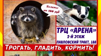 Джуманджи | выставка животных