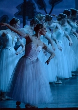 Жизель | Саратовский театр оперы и балета