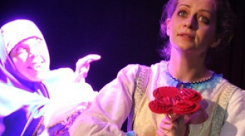 Аленький цветочек | Заводной апельсин