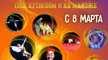 Волшебство под куполом и на манеже | Цирк