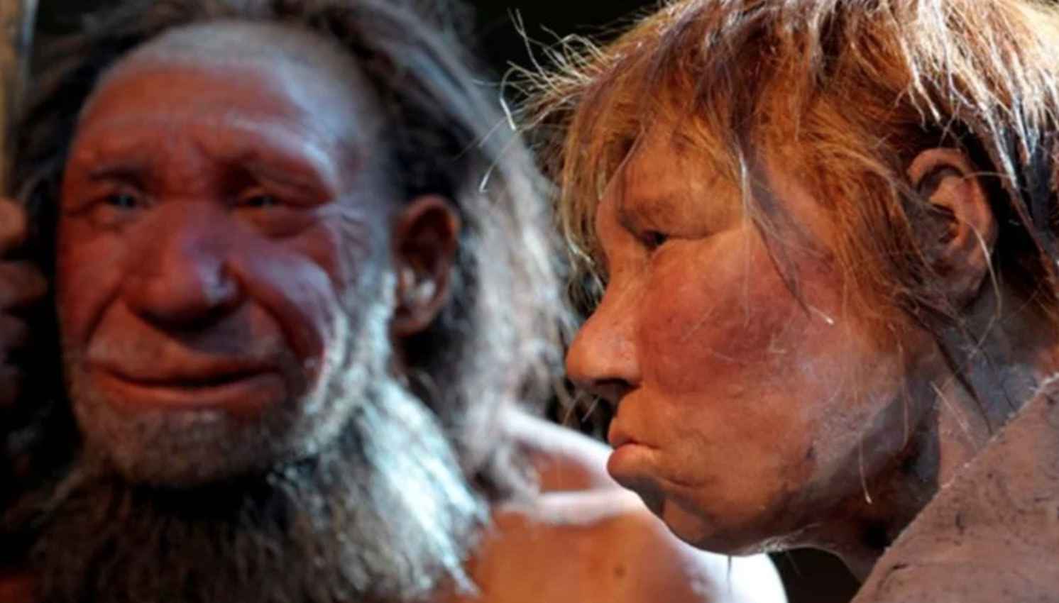 Климатические изменения превратили некоторых неандертальцев в каннибалов